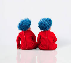 Dr Seuss S Thing 1 And Thing 2 Baby Costume Pottery Barn Kids