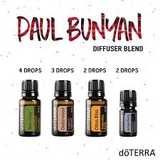 Manly Diffuser Blend Essential Oil Diffuser Recipes Essential Oil Diffuser Blends Doterra Diffuser Blends
