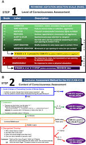 Image result for CAM-ICU