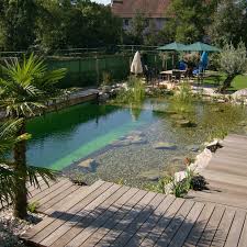 Ein schwimmteich ist eine gute alternative zum swimmingpool: Schwimmteich Schwimmteich Pool Gartenbau Naturschwimmbecken