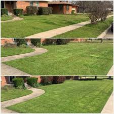 We do things differently here at lawn care mx. Bella S Lawn Care 21 Photos Lawn Services Garland Tx Phone Number