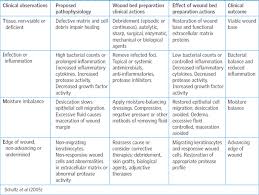 Wound Bed Preparation And The Time Principles