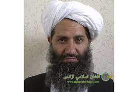 We did not find results for: Taliban Say They Want Afghan Deal Even As They Battle On Politico