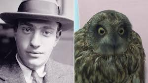 Stories by Jay Shefsky