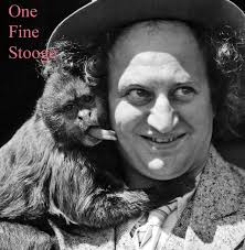 Stephen Cox dissects 'One Fine Stooge: Larry Fine's Frizzy Life in  Pictures'