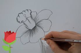I'm sure you will be thrilled to see realistic flower drawings on a. Easy Realistic Flower Drawing Drawing Art Ideas