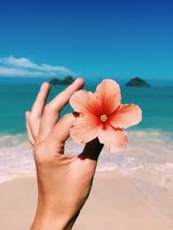 28 aesthetic summer vibes ideas that inspire. 900 Summer Aesthetic Ideas Summer Summer Aesthetic Summer Of Love