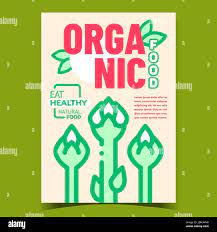 Organic Food Creative Advertising Poster Vector Stock Vector Image Art Alamy