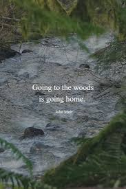 Image Result For Woods And Nature Quotes Into The Woods Quotes Nature Quotes Adventure Quotes
