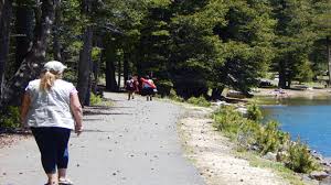 Check spelling or type a new query. Stanislaus National Forest Lake Alpine Recreation Area