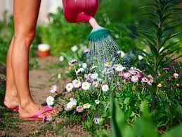To get the most out of your garden, we recommend planting in a you'll be rewarded with gorgeous flowers from late spring and all the way through summer. How To Keep Summer Plants Flowering Lovethegarden