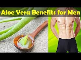 Be A King In 3 Hours With Aloe Vera Gel Why Aloe Vera Good For Man Youtube Aloe Vera Benefits Aloe Vera Uses Aloe Vera