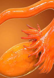 To help you restore your libido, put some spark back in your relationship, and stay sexual during. Perspective Of Women About Her Body After Hysterectomy Intechopen