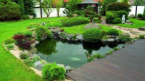 Pin On Water Hole