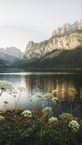 Nature Landscape Background Wallpaper Nature Aesthetic