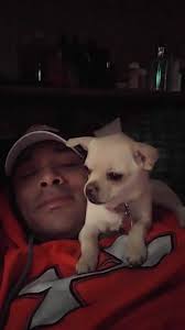 Respect for missing pets and owners