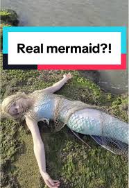 Image result for real mermaid