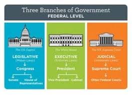 Bundle Of 3 Establishing The Us Government The Three Branches Of Government