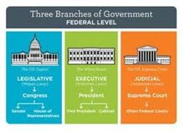 bundle of 3 establishing the us government the three branches of government