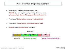 Plant cell wall degrading enzymes. Plant Fungal Interplay Ppt Video Online Download