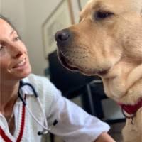 10 "Mary Leacock" profiles