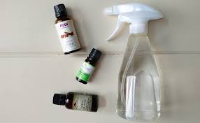 homemade ant repellent spray to get rid
