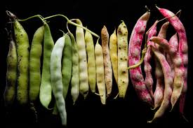 Let them cool down for about 10 minutes. Feel Free To Freeze Your Beans Taste