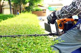 We offer the best landscape & lawn care service. 7 Signs You Need Professional Lawn Care Service Archer Services