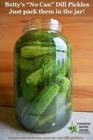 Betty S No Can Dill Pickles Just Stick Them In A Jar Recipe Canning Dill Pickles Pickles Pickling Recipes