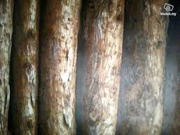 Wallpaper corak kayu sumber : Kayu Furniture Decoration For Sale In Malaysia Mudah My Mobile