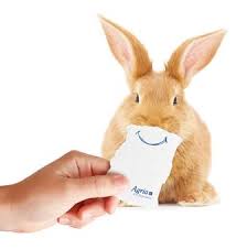 Pet insurance is a way for pet owners to find peace of mind knowing that when an unexpected injury or illness occurs, they can expect part or all of the is the best dog insurance different than the best cat insurance? Smile Rabbit Rgb Jpgweb Companion Consultancy Ltd