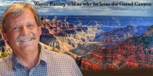 Learning About Nonprofit Legal Issues and Federal Audits