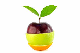 There are 38 calories in 1 medium peach. Calorie Counter Fruit Weight Loss Resources