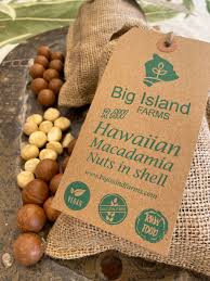 Organic macadamia nuts (not roasted). Fresh Macadamia Nuts Raw In The Shell Big Island Farms