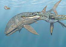 1 basic info 1.1 behavior 1.2 appearance 1.3 color scheme and regions 1.4 drops 1.5 base stats and growth 2 combat 2.1 general 2.2 strategy 2.3 weaponry 2.4 dangers 2.5 weakness 3 notes/trivia 4 gallery 5 references see leedsichthys. Leedsichthys Wikipedia