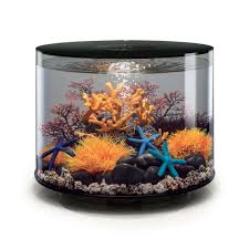 Aquarium Biorb Tube Noir 35 Litres Deco Aquarium Entretien Aquarium Aquarium