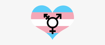 Nonbinary gender symbol.svg 400 × 400; Partners Of Trans Non Binary Individuals Support Group All Gender Symbol T Shirt Gay Lgbt Transgender Pride Free Transparent Png Download Pngkey