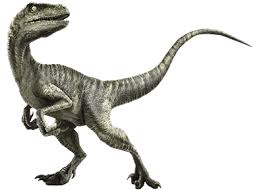 Check spelling or type a new query. Velociraptor Velociraptor Jurassic Park Jurassic World Jurassic World Dinosaurs