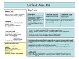 Career Plan Example Career Development Plan Career Plan Example Professional Development Plan