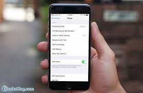How To Turn On Announce Calls On Iphone Igeeksblog Iphone Ipad Emergency Medical
