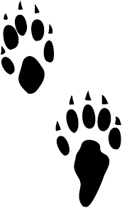 Free printable easter bunny feet template. Bunny Paw Print Clip Art Paw Print Clip Art Bunny Paws Paw Print