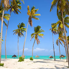 Jul 29, 2021 · this week's best deals: Everpix Twitter àªªàª° Relaxing On The Beach New Summer Wallpaper At The Everpix Beach Paradise Summer Summertime Beachtime Iphonex Iphonephoto Ipad Iphonex Hdwallpaper Beautifulwallpaper Iphonewallpaper Iphonephotography