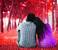 Love Romantic Wallpaper Images