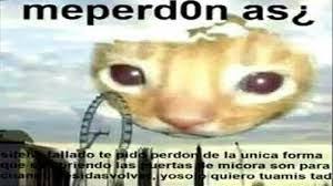 Me Perdonas Buscar Con Google Memes Memes Divertidos Memes Sarcasticos