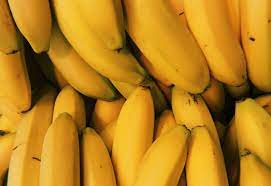 The economy's favorite fruit bananas are thought to have originated in the jungles of malaysia, indonesia and the philippines in southeast asia where many varieties of wild banana still grow. Cavendish Banana Musa Acuminata Dwarf Cavendish Plants Kew