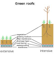 History, design, and construction by theodore h. Green Roof Wikipedia