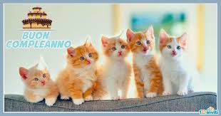 Cartoline Buon Compleanno Con Gatti Gatti Gattini Animali Simpatici