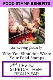How To Make Your Food Stamps Last All Month Or Longer Struggle Today Strength Tomorrow Food Stamps Food Frugal Meal Planning