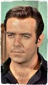 44 Pernell roberts ideas