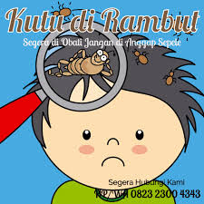 Cara Mengobati Kutu Di Rambut Rambut Alami Kutu Anak